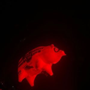 Meet your Posher, Aimee